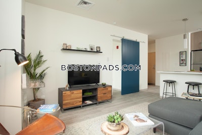 Allston 1 bedroom  baths Luxury in BOSTON Boston - $3,100 No Fee