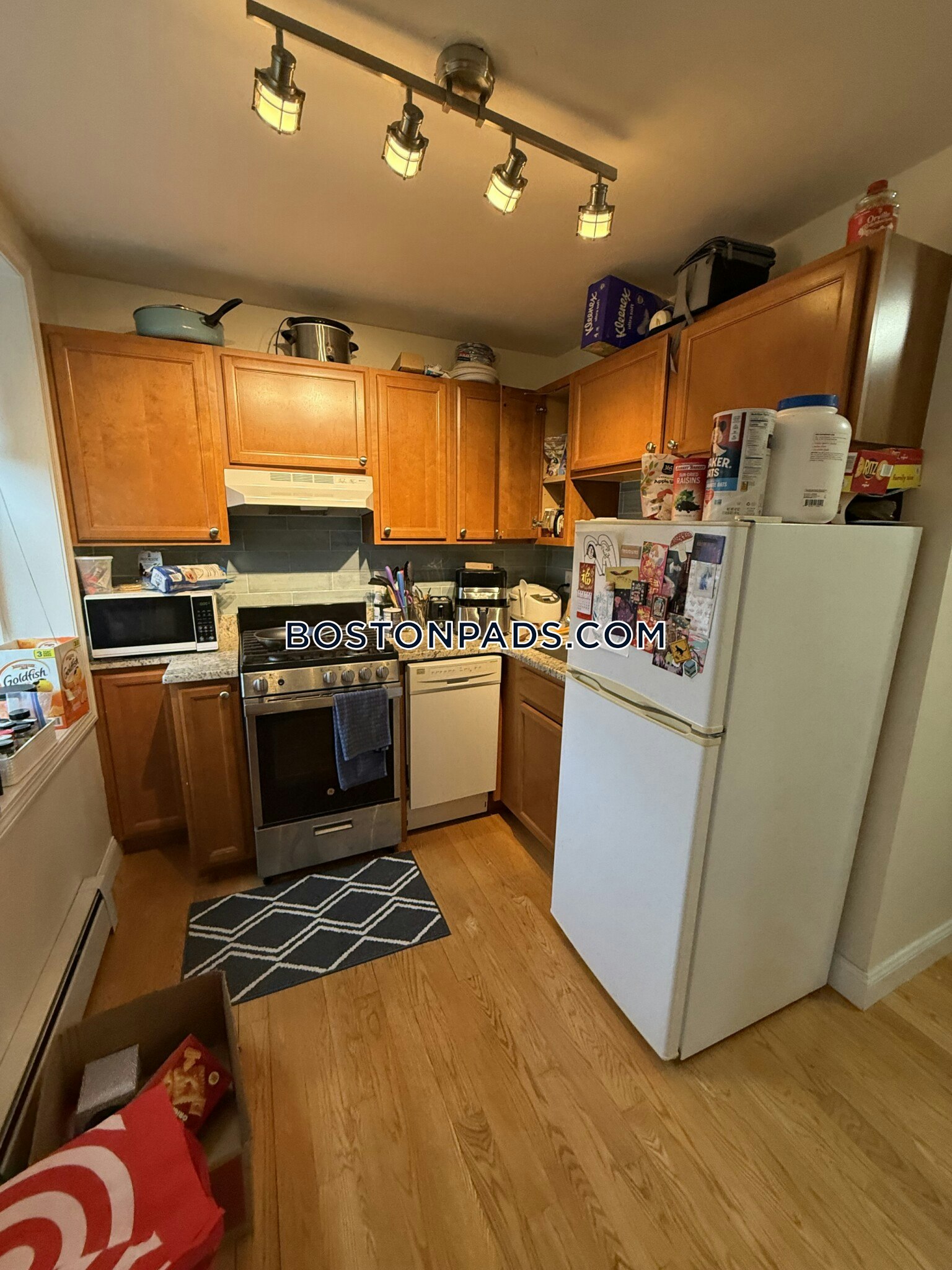 Inman Square, Cambridge, MA - 1 Bed, 1 Bath - $2,945 - ID#8025906