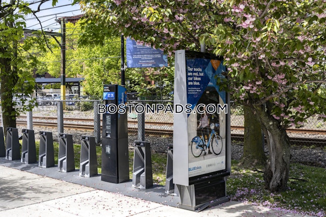 Brookline - $6,000+ /mo