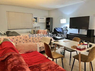 Allston Apartment for rent 1 Bedroom 1 Bath Boston - $2,600 No Fee