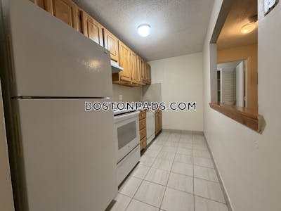 Allston/brighton Border Apartment for rent 1 Bedroom 1 Bath Boston - $2,500 No Fee