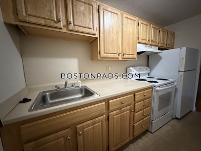 Allston/brighton Border Apartment for rent 1 Bedroom 1 Bath Boston - $2,400 No Fee