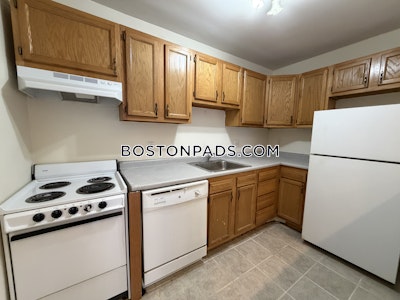 Allston Apartment for rent 1 Bedroom 1 Bath Boston - $2,900 No Fee