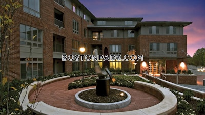 Watertown Apartment for rent 1 Bedroom 1 Bath - $3,225 No Fee