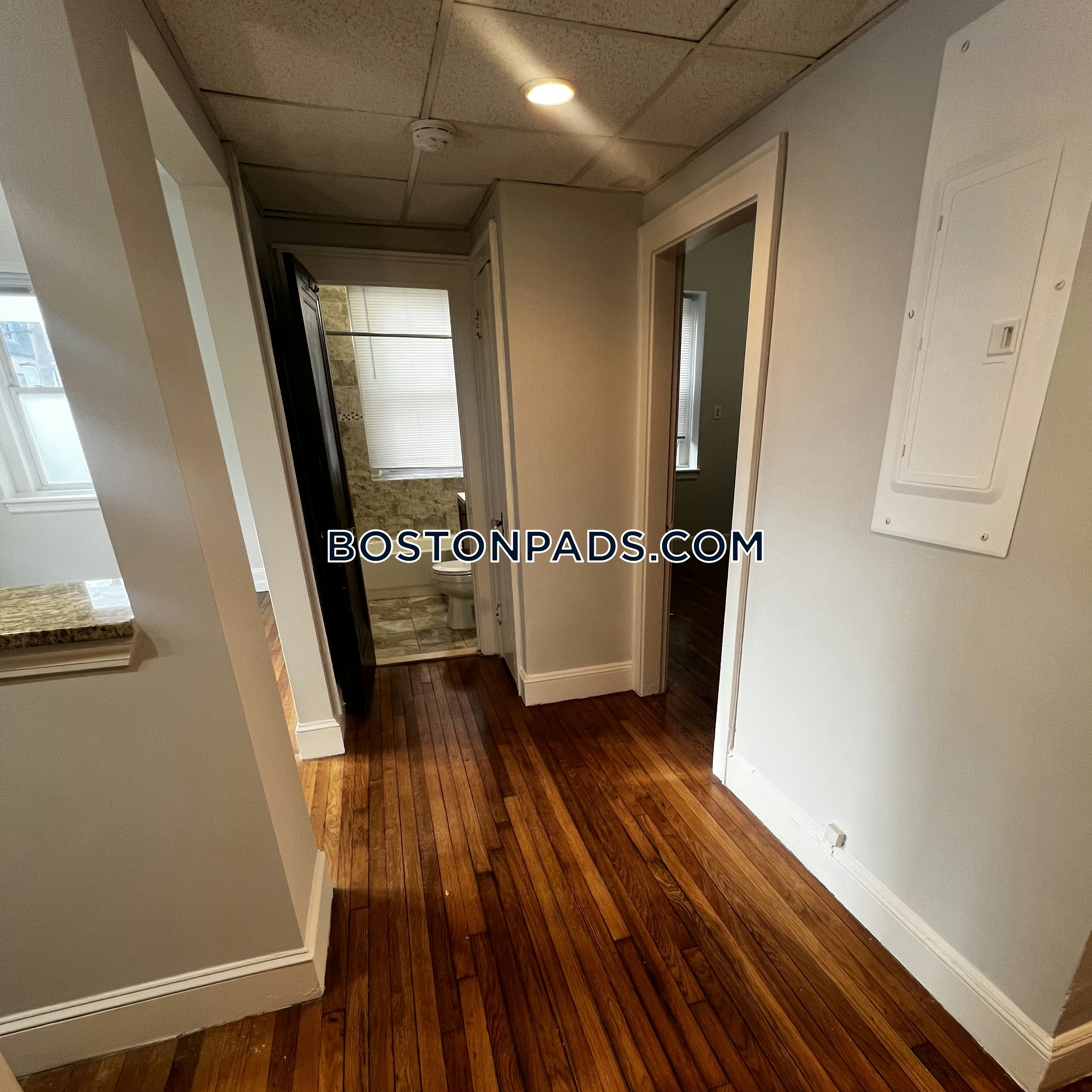 Winter Hill, Somerville, MA - 1 Bed, 1 Bath - $2,400 - ID#8025357