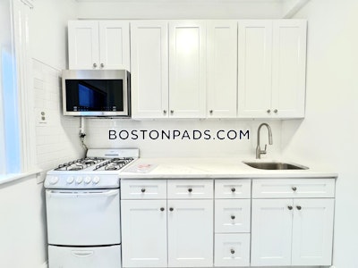 Fenway/kenmore Apartment for rent 1 Bedroom 1 Bath Boston - $2,450 No Fee