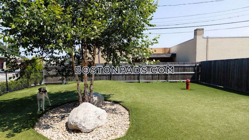 Norwood - $4,775+ /month