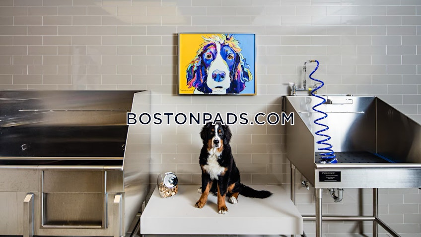 Norwood - $4,775+ /month