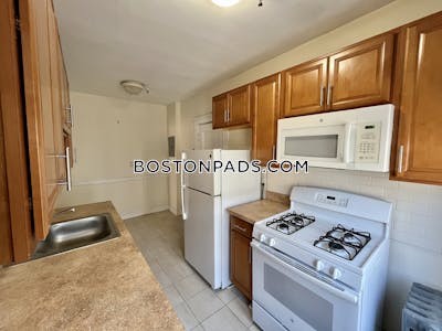 Brighton Apartment for rent 1 Bedroom 1 Bath Boston - $2,500 No Fee