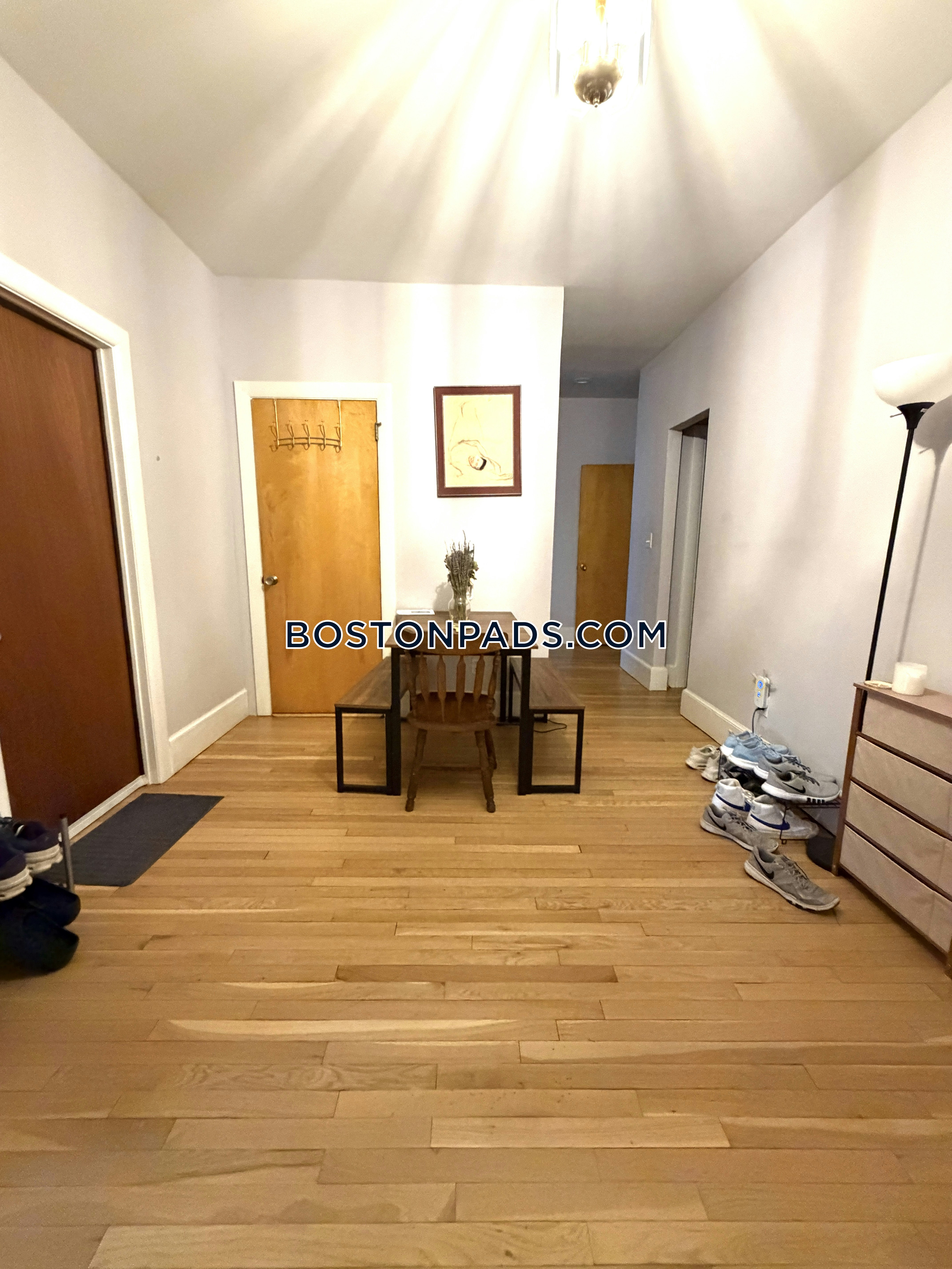 Coolidge Corner, Brookline, MA - 4 Beds, 2 Baths - $6,500 - ID#8031920