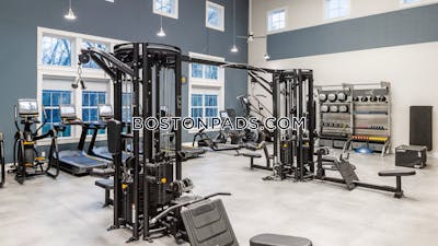 Lexington 2 bedroom 2 baths Luxury in Lexington - $3,279 No Fee