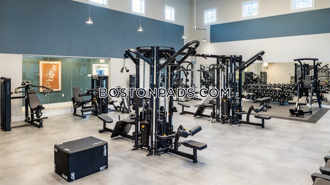 Lexington - $3,279+ /mo