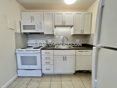 Allston Apartment for rent 1 Bedroom 1 Bath Boston - $3,200 No Fee
