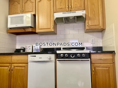 Allston Apartment for rent Studio 1 Bath Boston - $2,200 No Fee