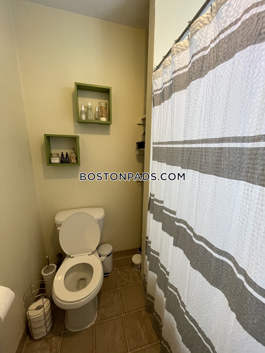 BOSTON - ALLSTON - 1 Bed, 1 Bath - Image 6