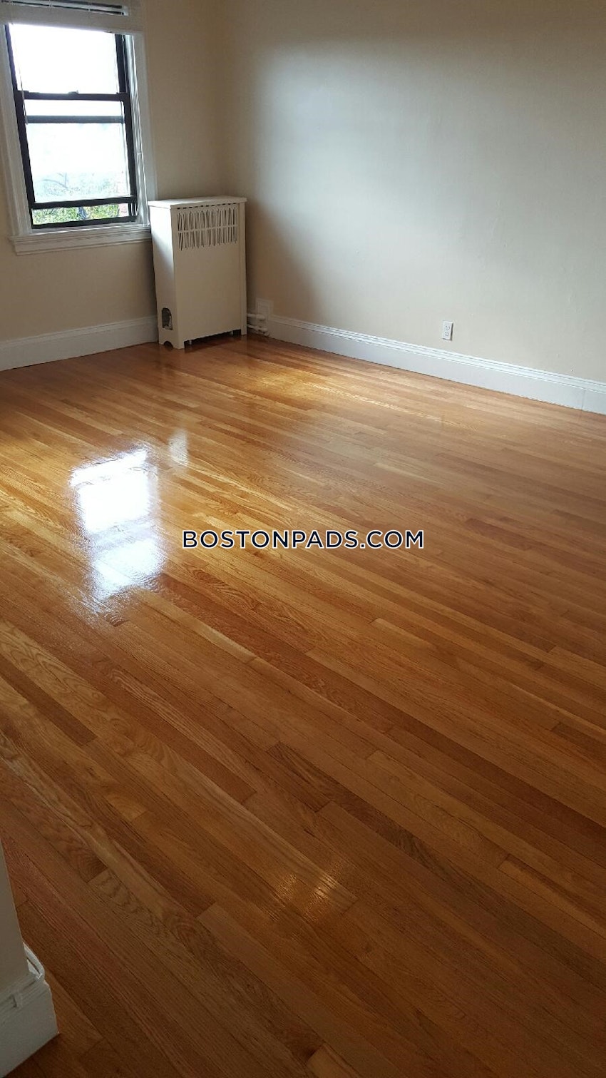 BROOKLINE- COOLIDGE CORNER - 1 Bed, 1 Bath - Image 8