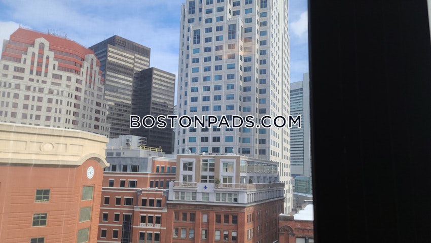 BOSTON - DOWNTOWN - 1 Bed, 1 Bath - Image 12