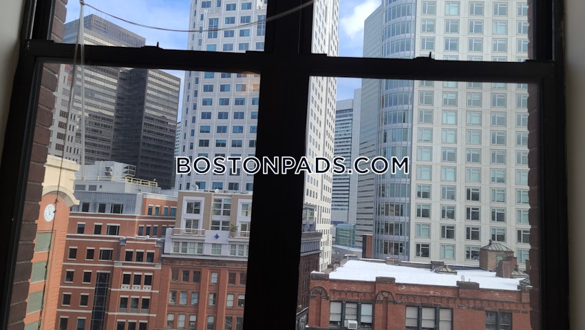 BOSTON - DOWNTOWN - 1 Bed, 1 Bath - Image 11