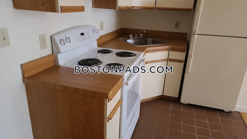 BOSTON - DOWNTOWN - 1 Bed, 1 Bath - Image 33