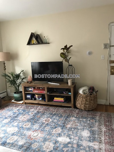 Brighton Apartment for rent 2 Bedrooms 1 Bath Boston - $2,950 No Fee