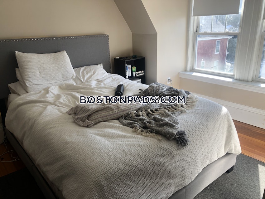 BOSTON - BRIGHTON - BRIGHTON CENTER - 2 Beds, 1 Bath - Image 17