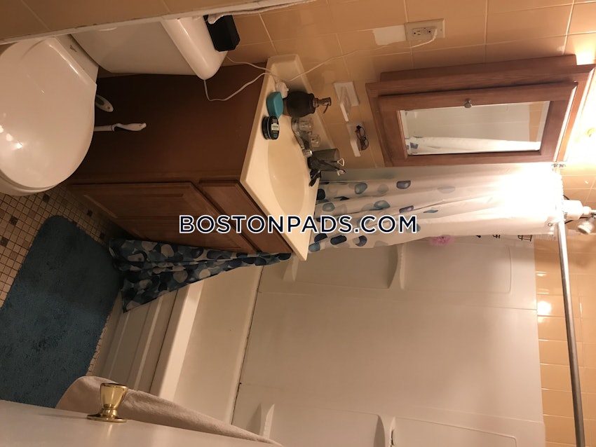 BOSTON - JAMAICA PLAIN - STONY BROOK - 1 Bed, 1 Bath - Image 1