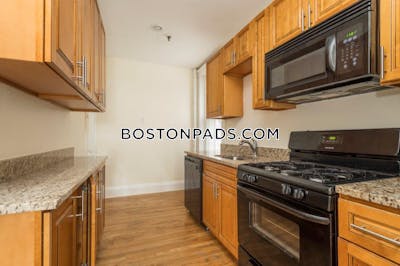 Brighton Apartment for rent 1 Bedroom 1 Bath Boston - $2,550