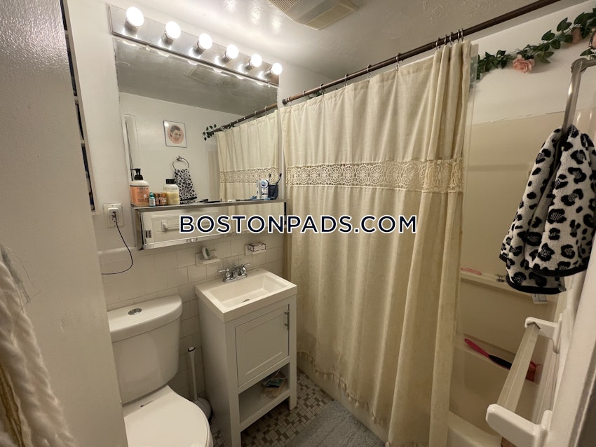 BOSTON - JAMAICA PLAIN - JAMAICA POND/PONDSIDE - 1 Bed, 1 Bath - Image 5