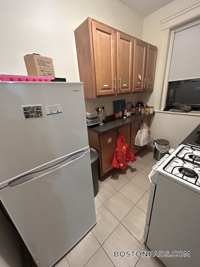 Allston Apartment for rent 1 Bedroom 1 Bath Boston - $2,400 No Fee