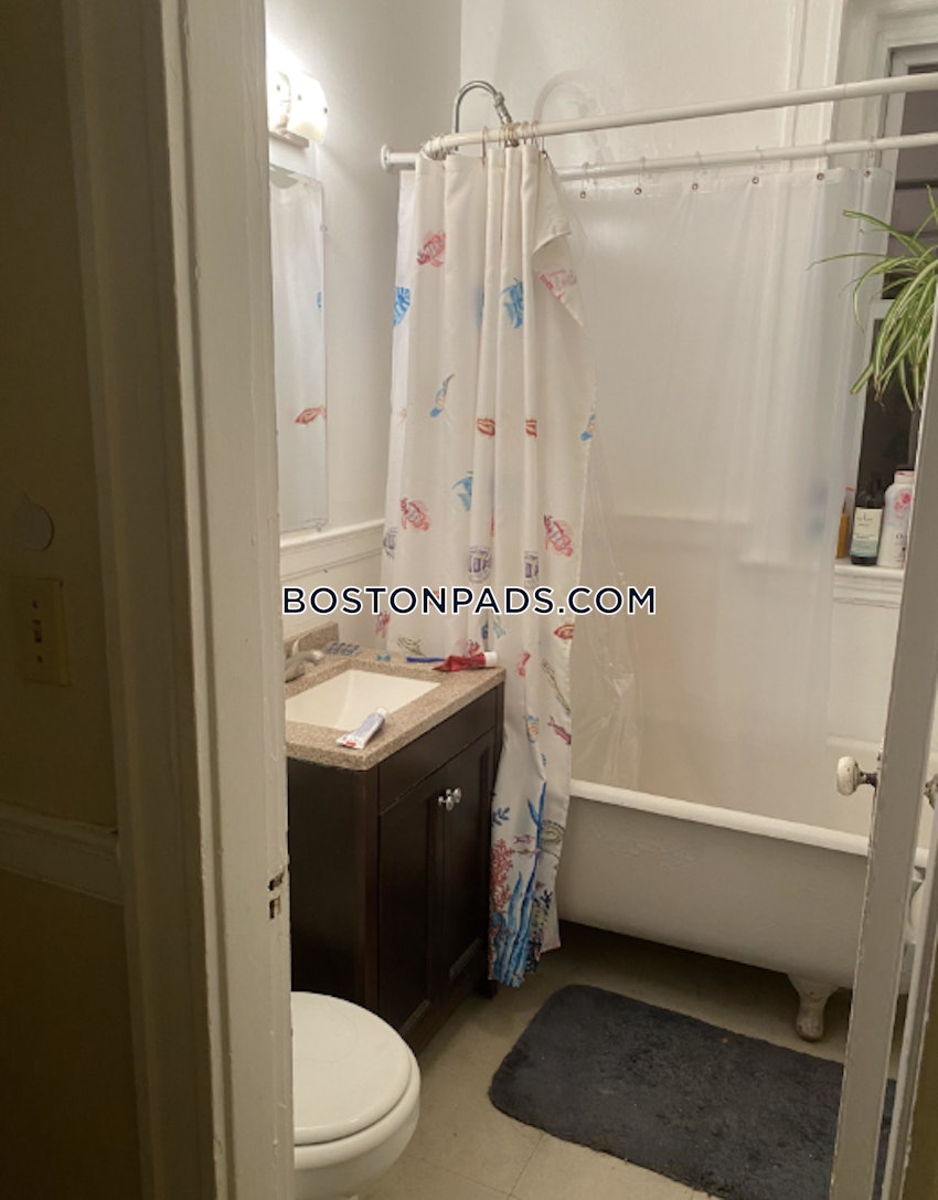 BOSTON - ALLSTON - 2 Beds, 1 Bath - Image 13