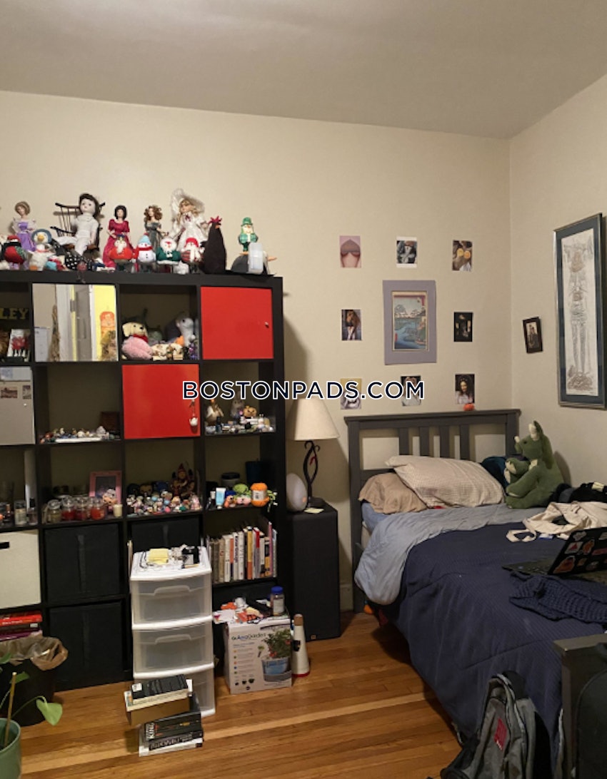 BOSTON - ALLSTON - 2 Beds, 1 Bath - Image 12