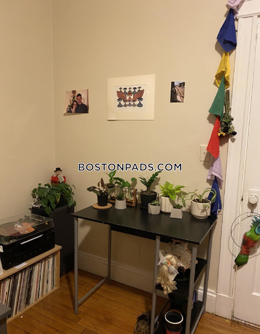 BOSTON - ALLSTON - 2 Beds, 1 Bath - Image 17