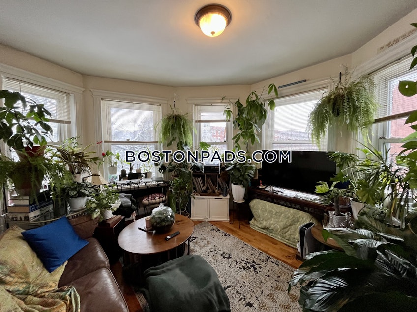 Boston - $2,800+ /month