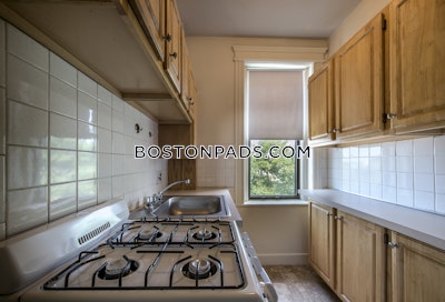 Allston Apartment for rent Studio 1 Bath Boston - $2,400 No Fee