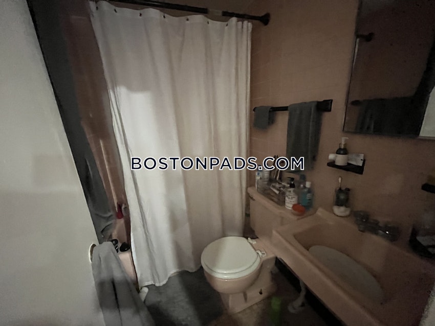 BOSTON - BRIGHTON - CLEVELAND CIRCLE - Studio , 1 Bath - Image 11