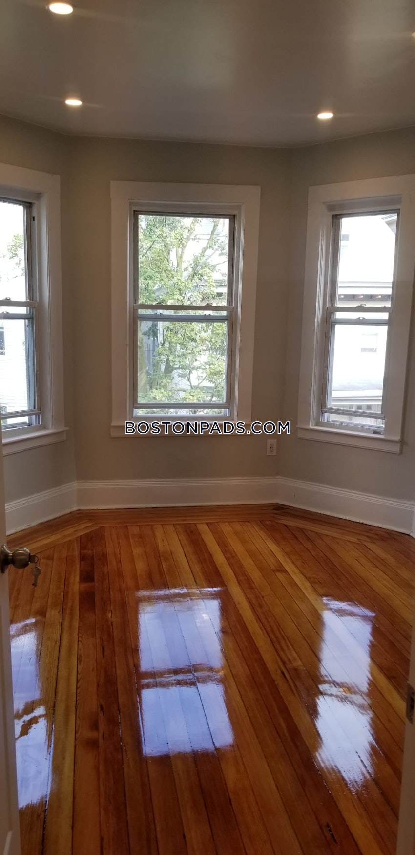 BOSTON - JAMAICA PLAIN - ARBORETUM - 3 Beds, 1 Bath - Image 3