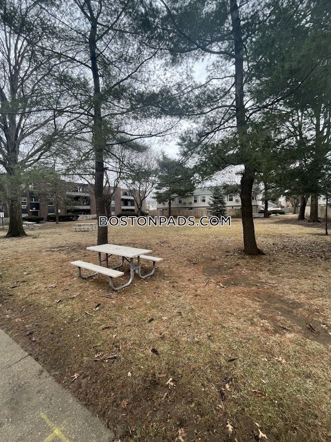 Boston - $3,795+ /mo