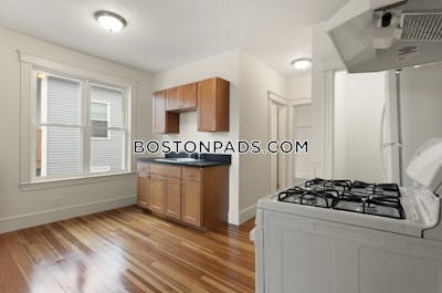 Dorchester Apartment for rent 2 Bedrooms 1 Bath Boston - $2,635 No Fee