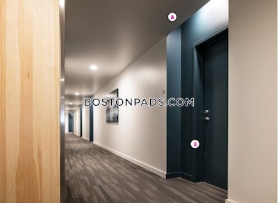 Allston/brighton Border Apartment for rent Studio 1 Bath Boston - $3,142 No Fee