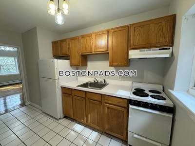 Allston/brighton Border Apartment for rent 1 Bedroom 1 Bath Boston - $2,475 No Fee