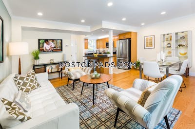Brookline Apartment for rent 1 Bedroom 1 Bath  Chestnut Hill - $3,515