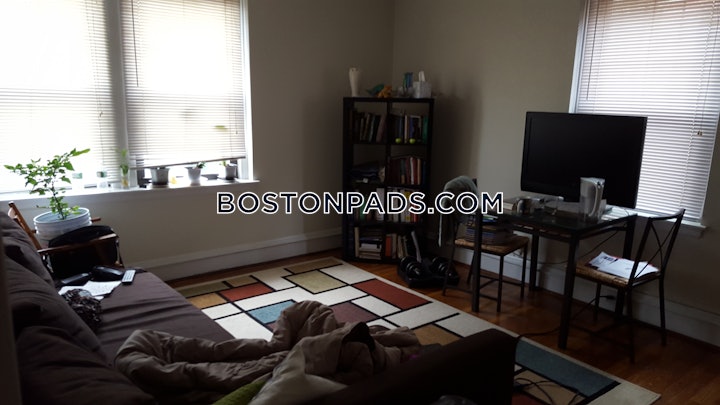 malden-apartment-for-rent-1-bedroom-1-bath-2050-8028948 