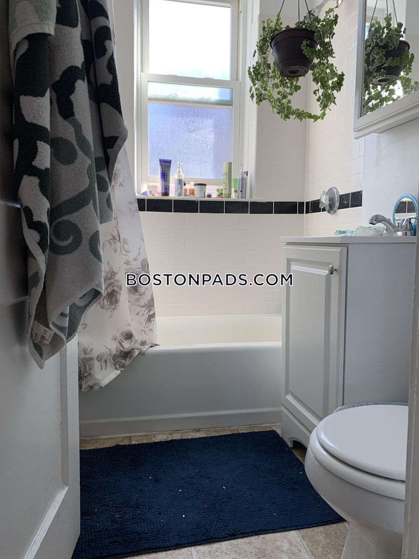 BOSTON - ALLSTON/BRIGHTON BORDER - 1 Bed, 1 Bath - Image 21