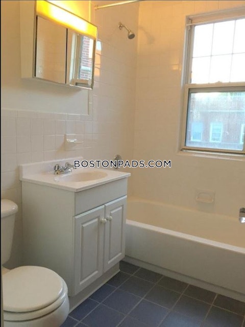 Summer St. Somerville photo 8