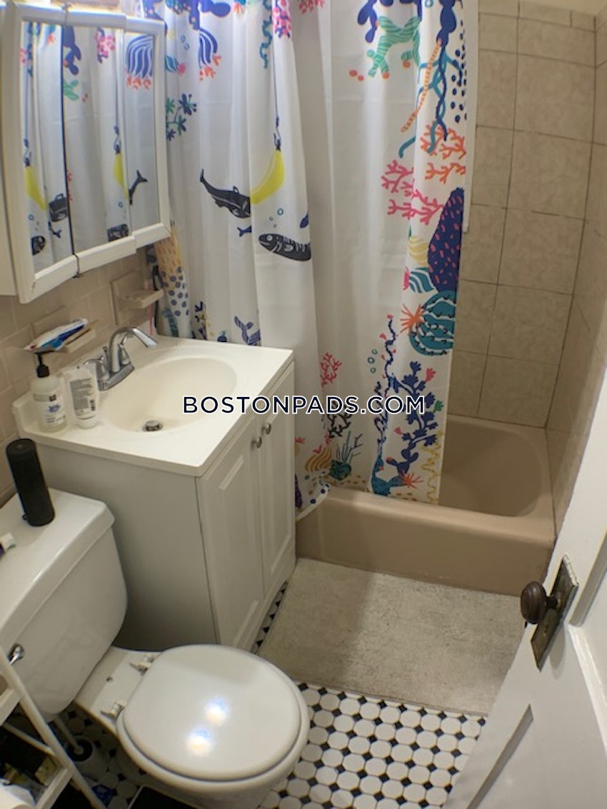 BOSTON - JAMAICA PLAIN - JAMAICA POND/PONDSIDE - 2 Beds, 1 Bath - Image 11