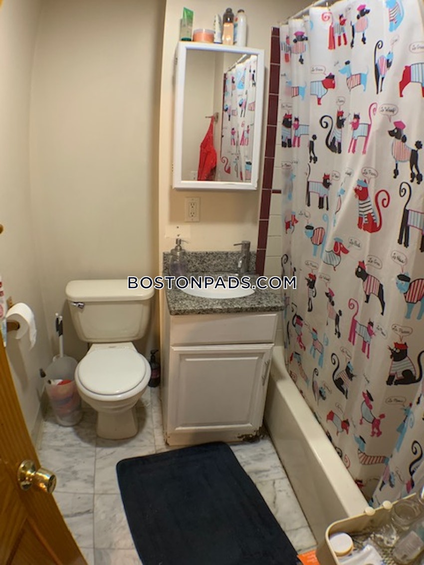 BOSTON - JAMAICA PLAIN - STONY BROOK - 3 Beds, 1 Bath - Image 49