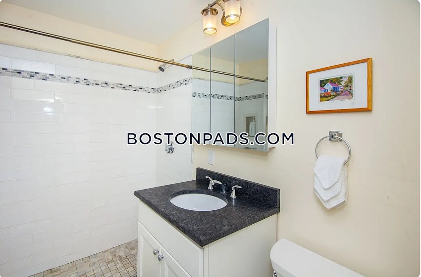 BOSTON - SOUTH BOSTON - WEST SIDE - 4 Beds, 2 Baths - Image 17