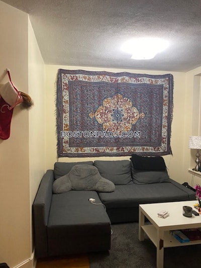 Northeastern/symphony Apartment for rent 1 Bedroom 1 Bath Boston - $2,600 50% Fee