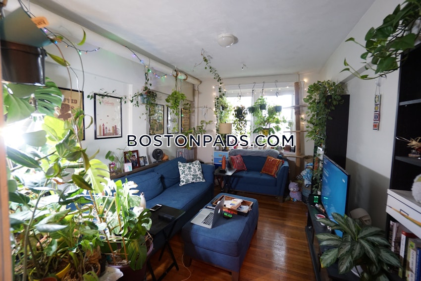 BOSTON - BRIGHTON- WASHINGTON ST./ ALLSTON ST. - 1 Bed, 1 Bath - Image 14