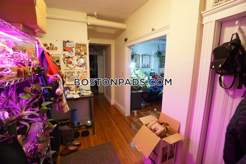 BOSTON - BRIGHTON- WASHINGTON ST./ ALLSTON ST. - 1 Bed, 1 Bath - Image 8